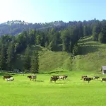 Gaestehaus Lutz Guest house