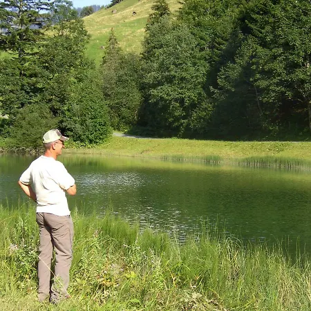 Gaestehaus Lutz 4* Mellau