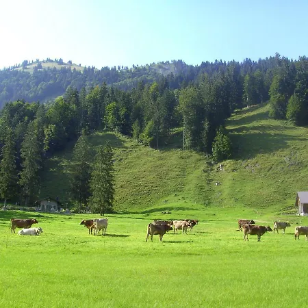 Gaestehaus Lutz Pensjonat