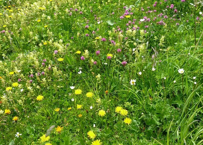 Penzion Gaestehaus Lutz