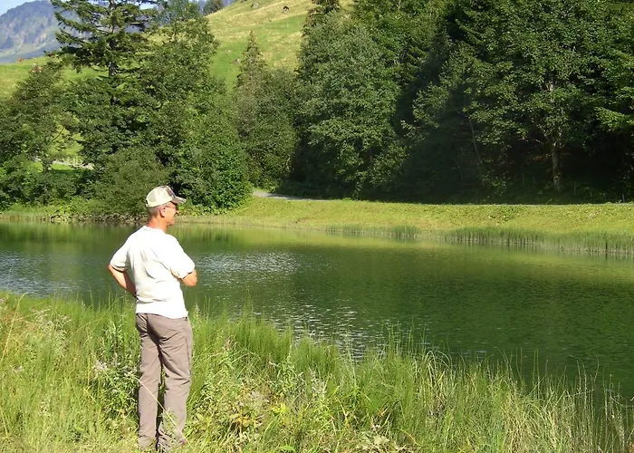 Gaestehaus Lutz 4* Mellau