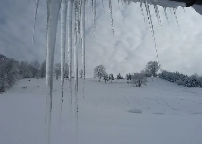 Gaestehaus Lutz Penzion